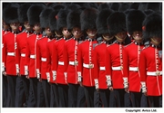 18. The Thin Red Line